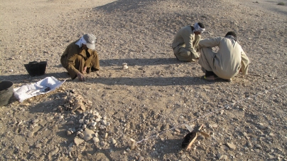 Azib and his helpers gathering stone fragments from the surface of the new square